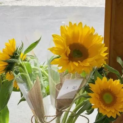 2023年香港资料精准app下载