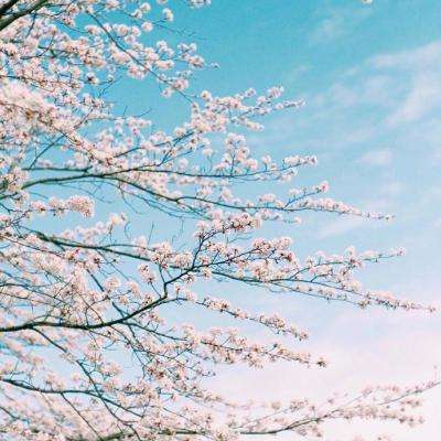 南宫体育app下载安装下载手机版